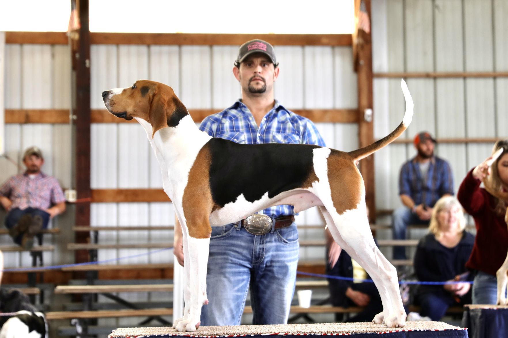 Grand American 2020